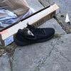 Rat Seen Taking Cozy Sneaker 'Nap' Confirmed Dead